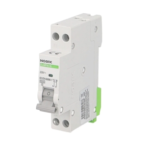 Siguranta automata, 1P+N,...